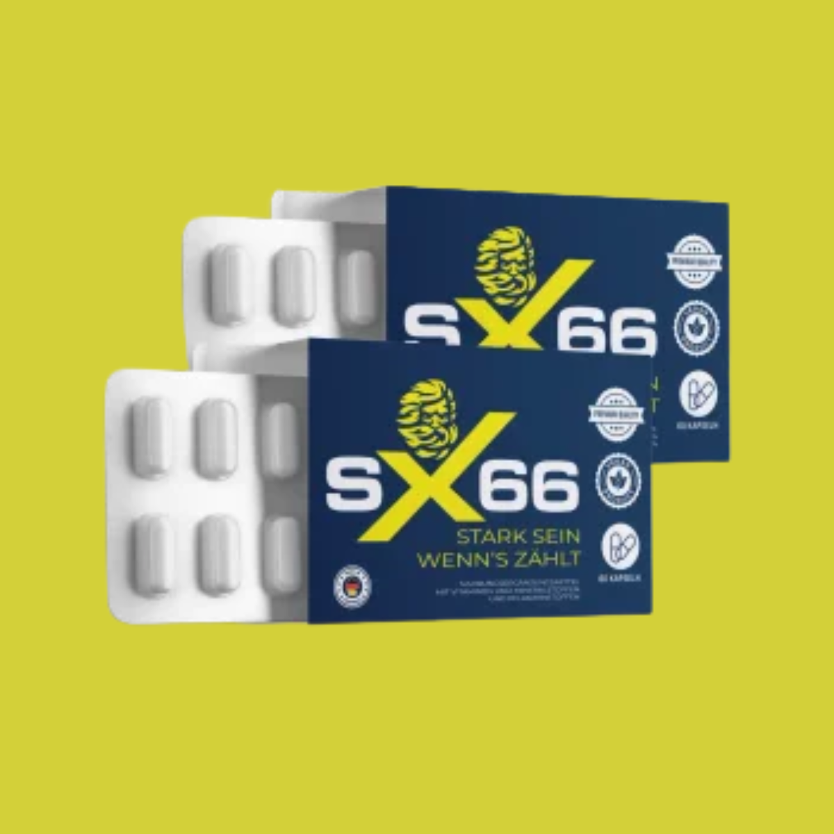 sx 66
